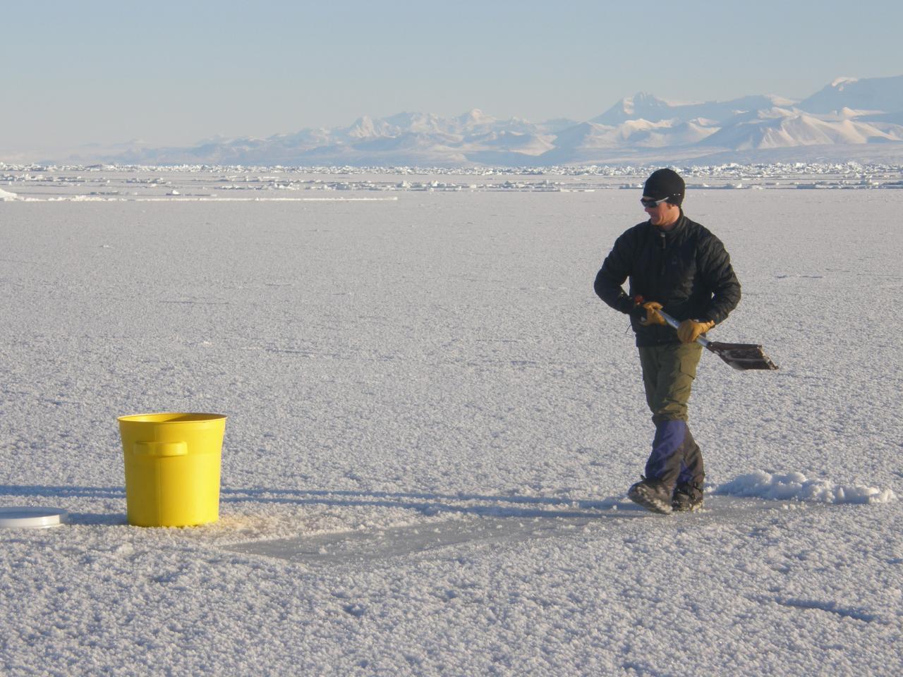 Antarctic wind-driven bacterial dispersal paper published