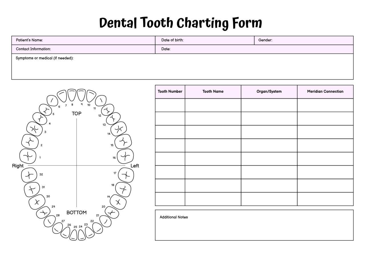 Dental Charting Practice Sheets