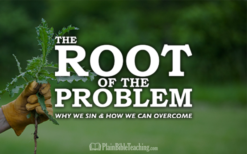 The Root of the Problem (Part 5): Deception - Plain Bible Teaching
